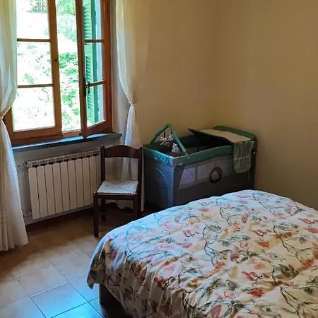 Casabonsai *