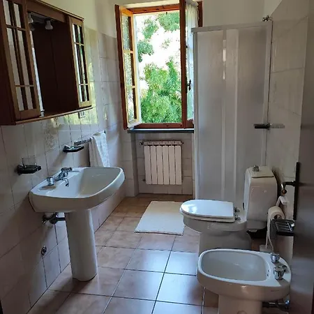 Casabonsai *
