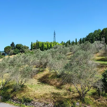Casabonsai * Fivizzano