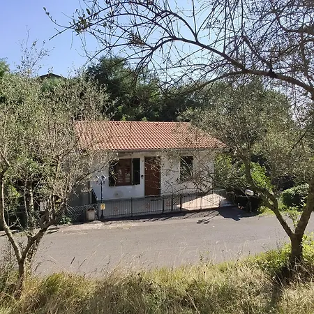 Casabonsai *