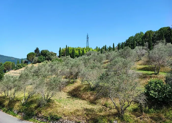 Casabonsai * Fivizzano