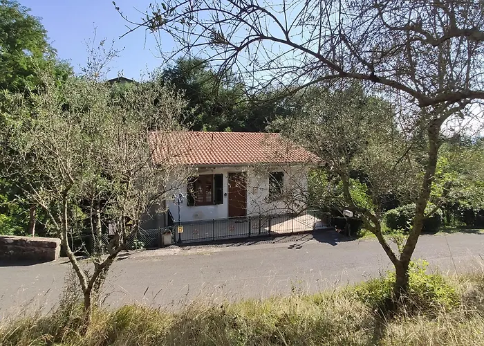 Casabonsai *